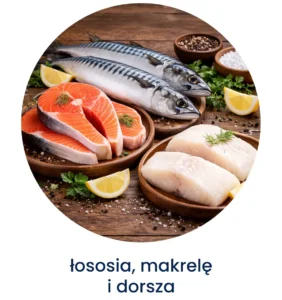 łososia, makrelę_ i dorsza
