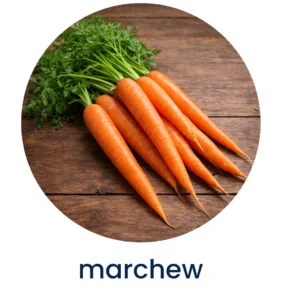 marchew